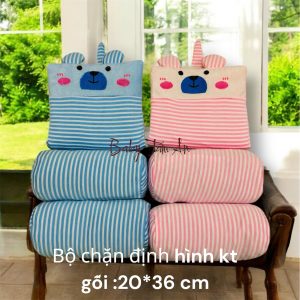 Bộ chặn định hình