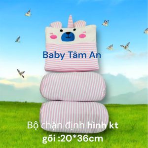 Bộ chặn định hình
