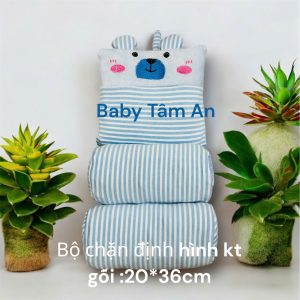 Bộ chặn định hình